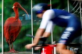 2023 UEC Road European Championships - Drenthe - Under 23 Women's ITT - Emmen - Emmen 20,6 km - 20/09/2023 -  - photo Luca Bettini/SprintCyclingAgency?2023